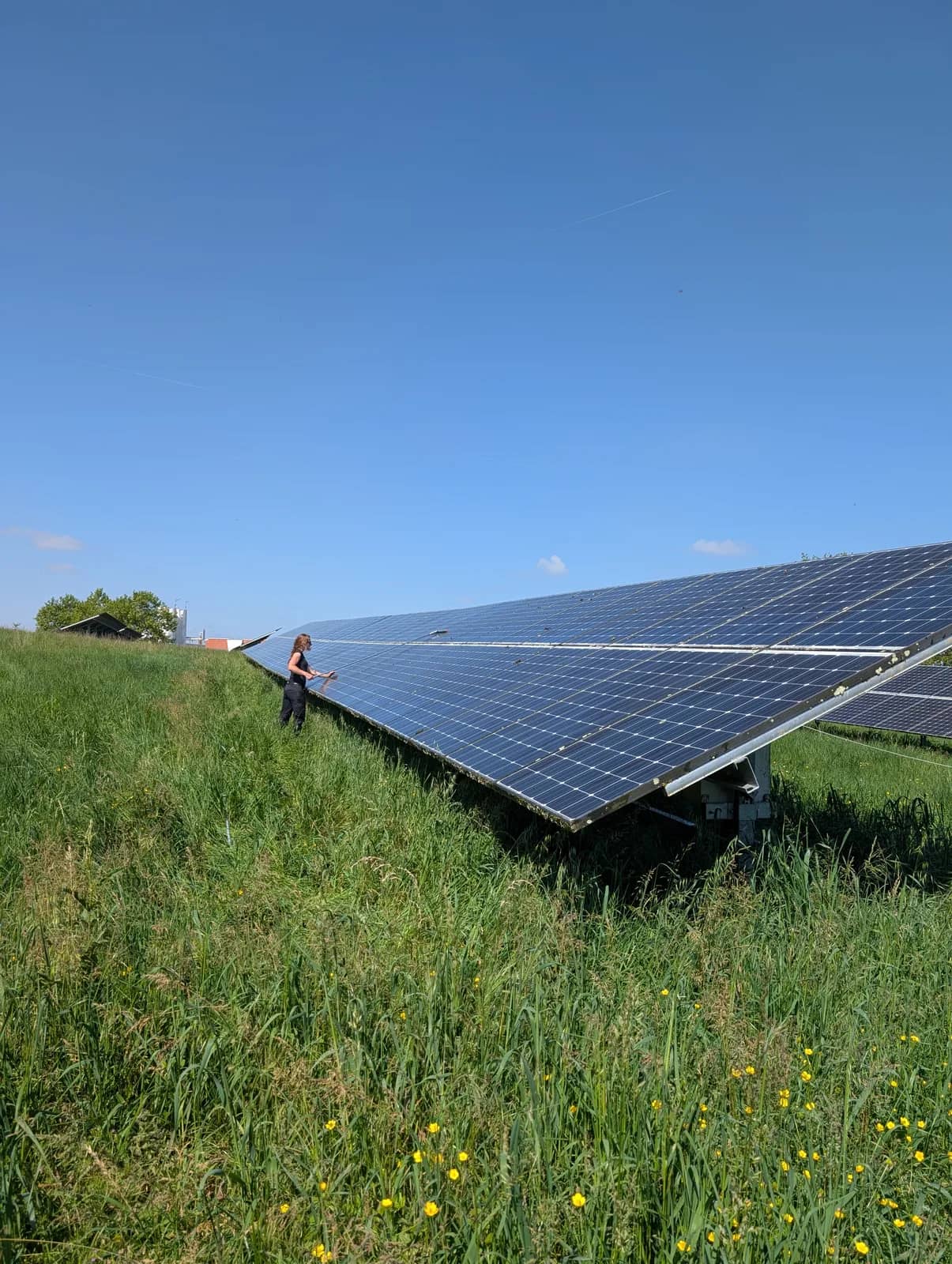 Rangée de panneaux photovoltaïques au sol dans l'herbe haute, une personne en tenue sombre debout le long des modules